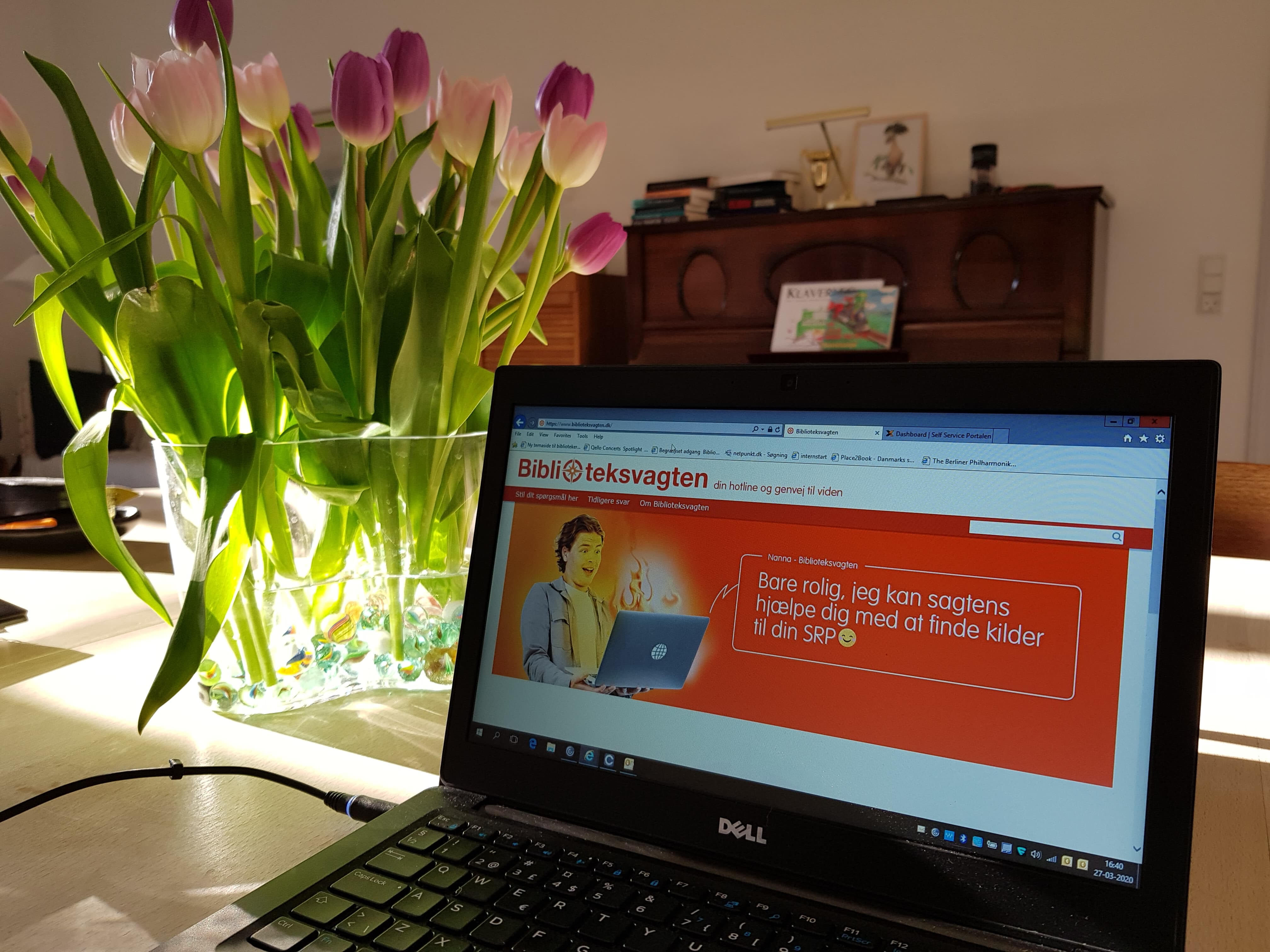 Bærbar computer på spisebordet hjemme hos bibliotekar Marit Juhl. På skærmen er hjemmesiden Biblioteksvagten.dk. Ved siden af computeren står en vase med tulipaner, og sollys strømmer ind.