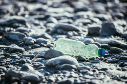 Plastikflaske ved havet