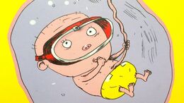 Tegning af baby i mave fra bogen "Mor har en baby i maven" skrevet af Lars Daneskov, illustreret af Claus Bigum, udgivet af Politikens Forlag.