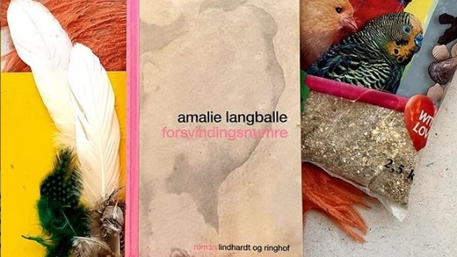Amalie Langballes roman Forsvindingsnumre
