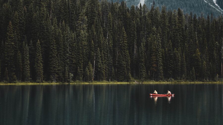 To personer i kano på en skovsø